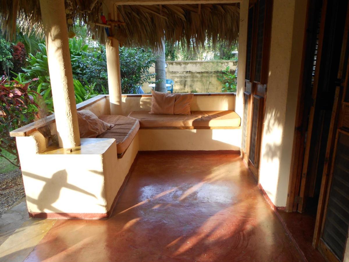 Palm-Covered House In The Tropical -Casa Oli Las Galeras Buitenkant foto