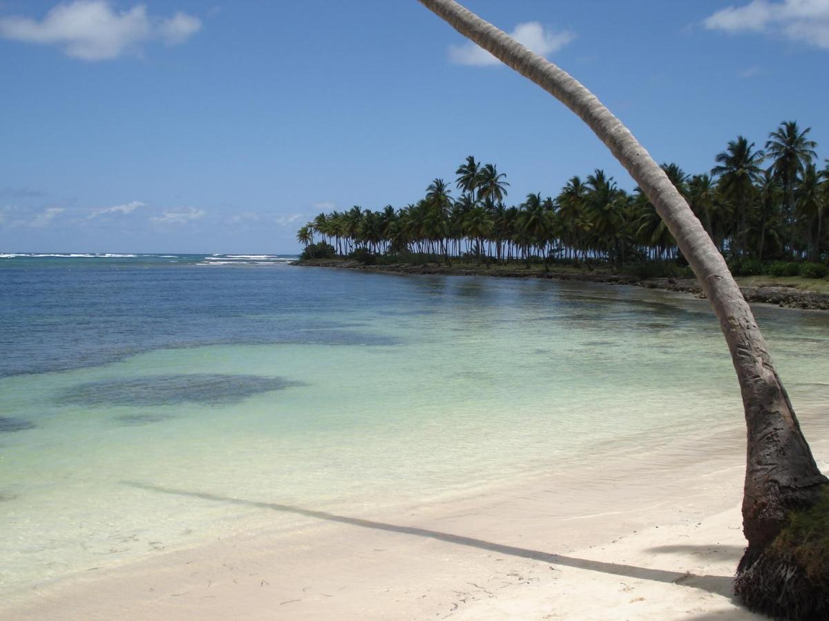 Palm-Covered House In The Tropical -Casa Oli Las Galeras Buitenkant foto