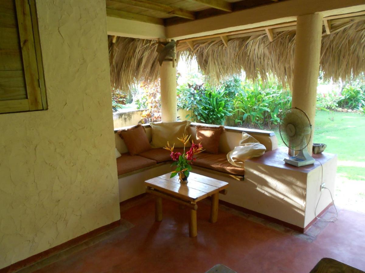 Palm-Covered House In The Tropical -Casa Oli Las Galeras Buitenkant foto