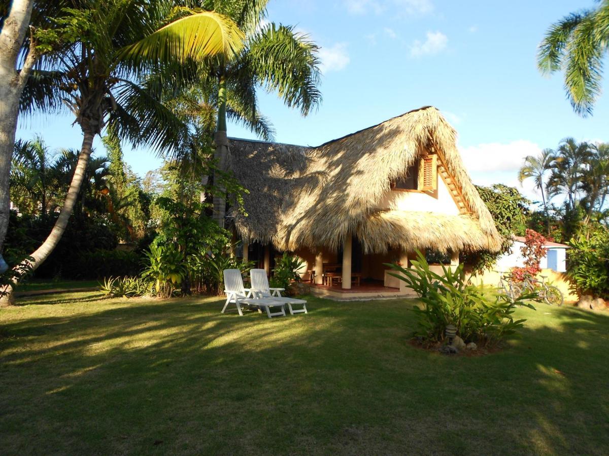 Palm-Covered House In The Tropical -Casa Oli Las Galeras Buitenkant foto