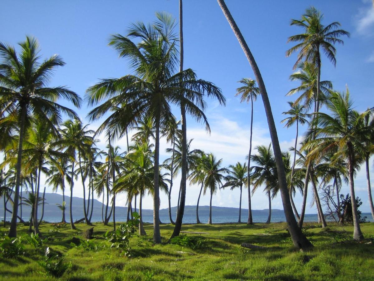 Palm-Covered House In The Tropical -Casa Oli Las Galeras Buitenkant foto