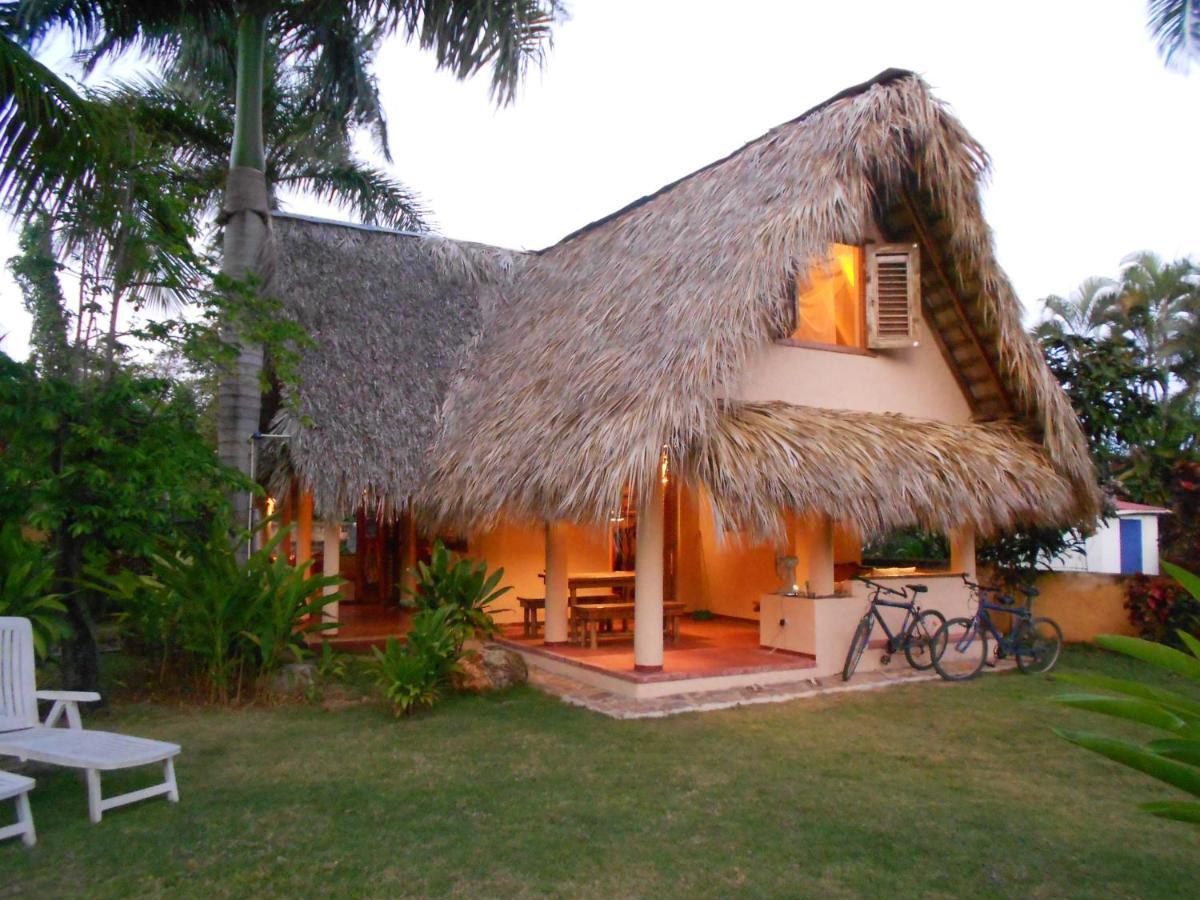 Palm-Covered House In The Tropical -Casa Oli Las Galeras Buitenkant foto