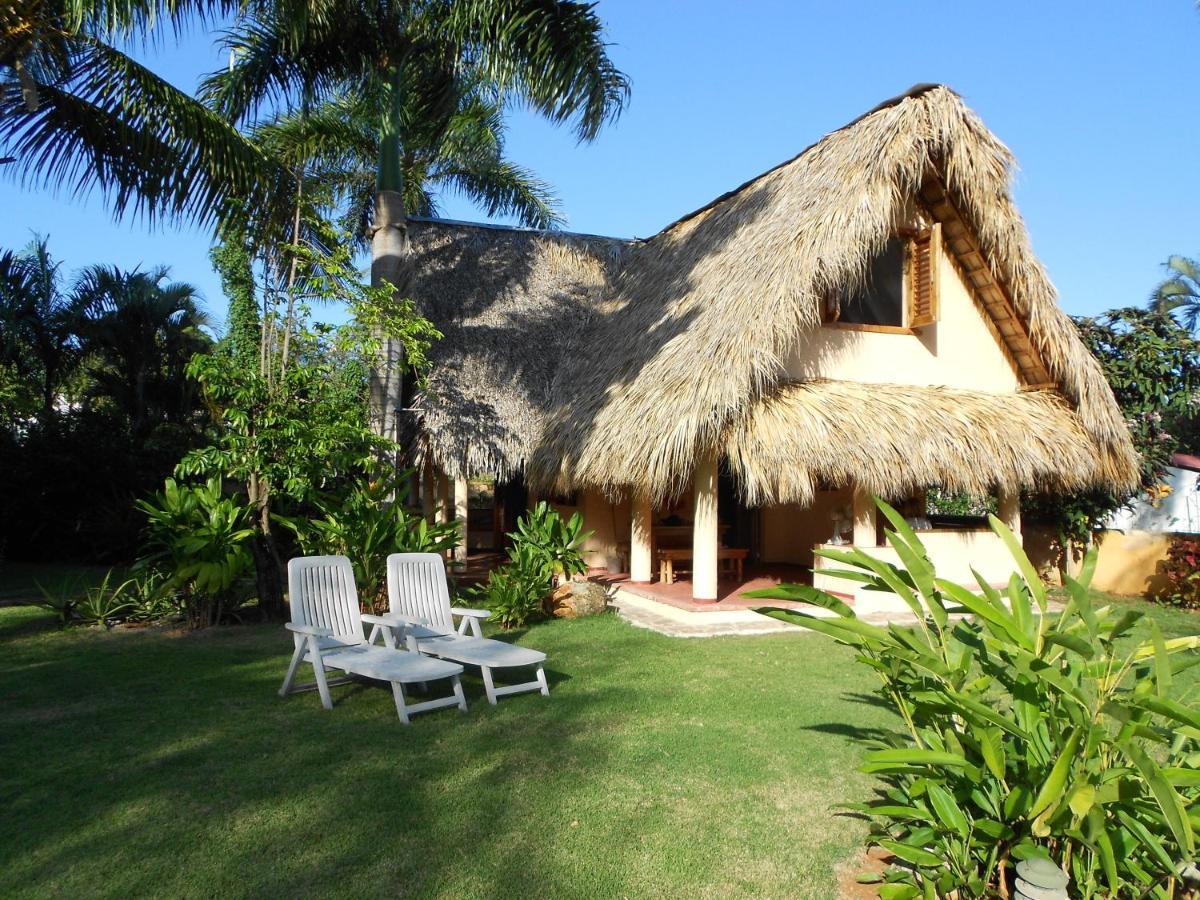 Palm-Covered House In The Tropical -Casa Oli Las Galeras Buitenkant foto
